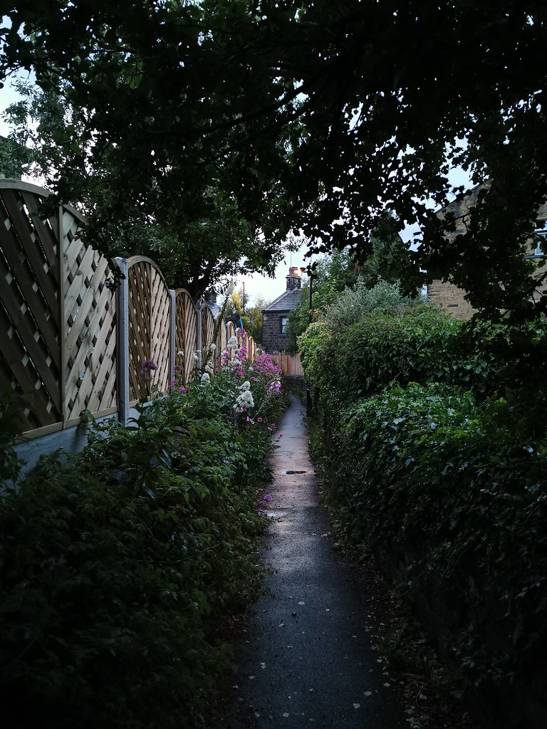 A Ginnle in Calverley a snap walking home Stephen Quin Flickr