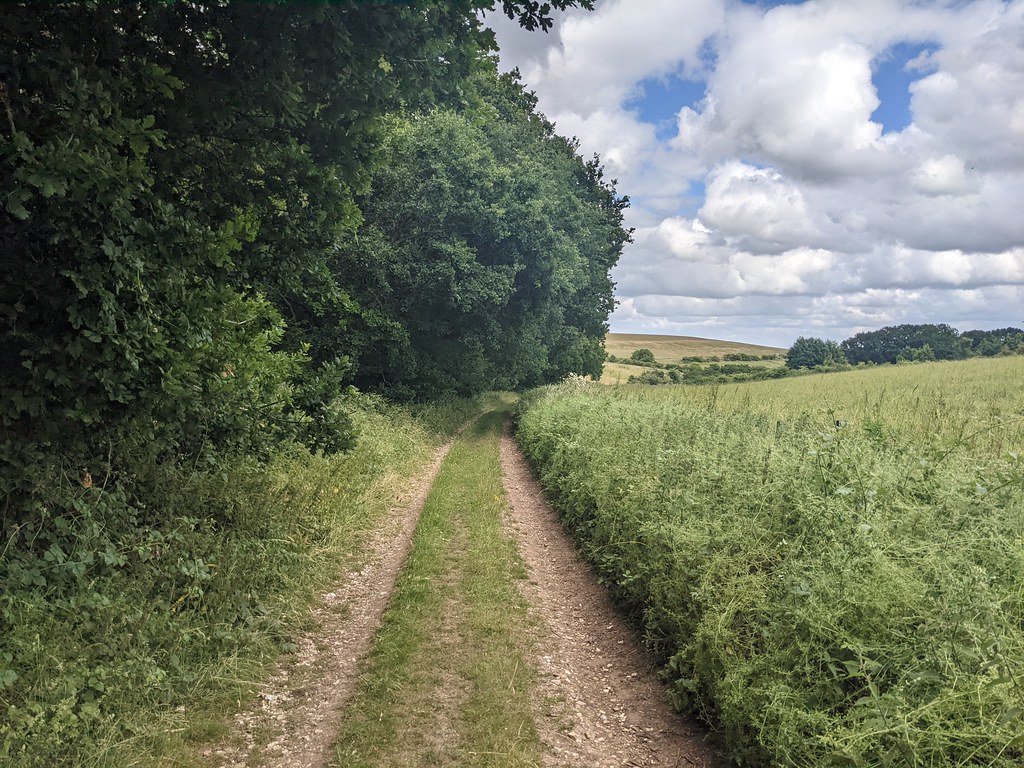 View of path between Furze Hill, Tidworth & Kimpton Down (… Flickr