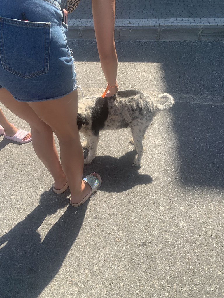 Camera roll dump Taliah Alexander Flickr