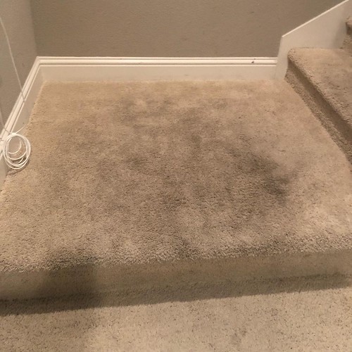 Carpet Cleaning San Jose CA0 Many homeowners and business … Flickr