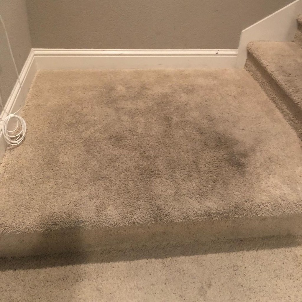 Carpet Cleaning San Jose CA0 Many homeowners and business … Flickr