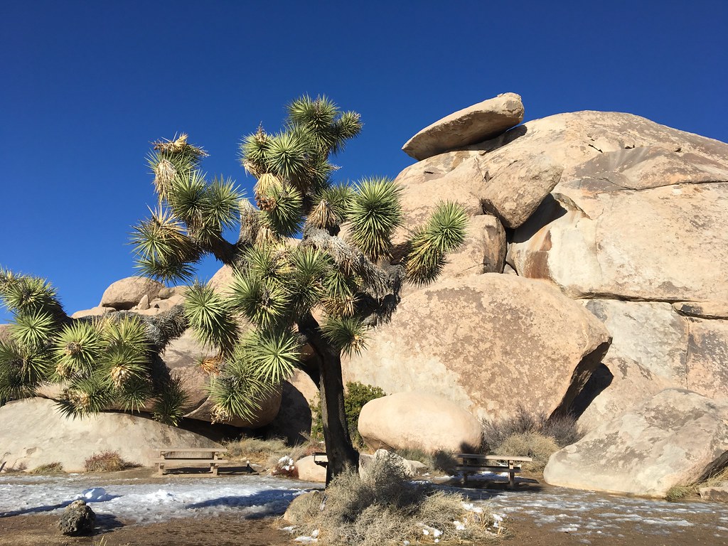 View of Cap Rock Scott Edmunds Flickr
