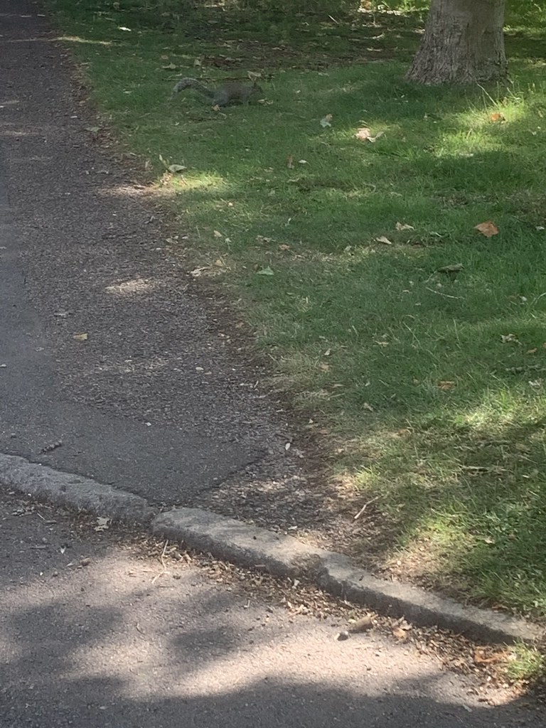 Camera roll dump Taliah Alexander Flickr