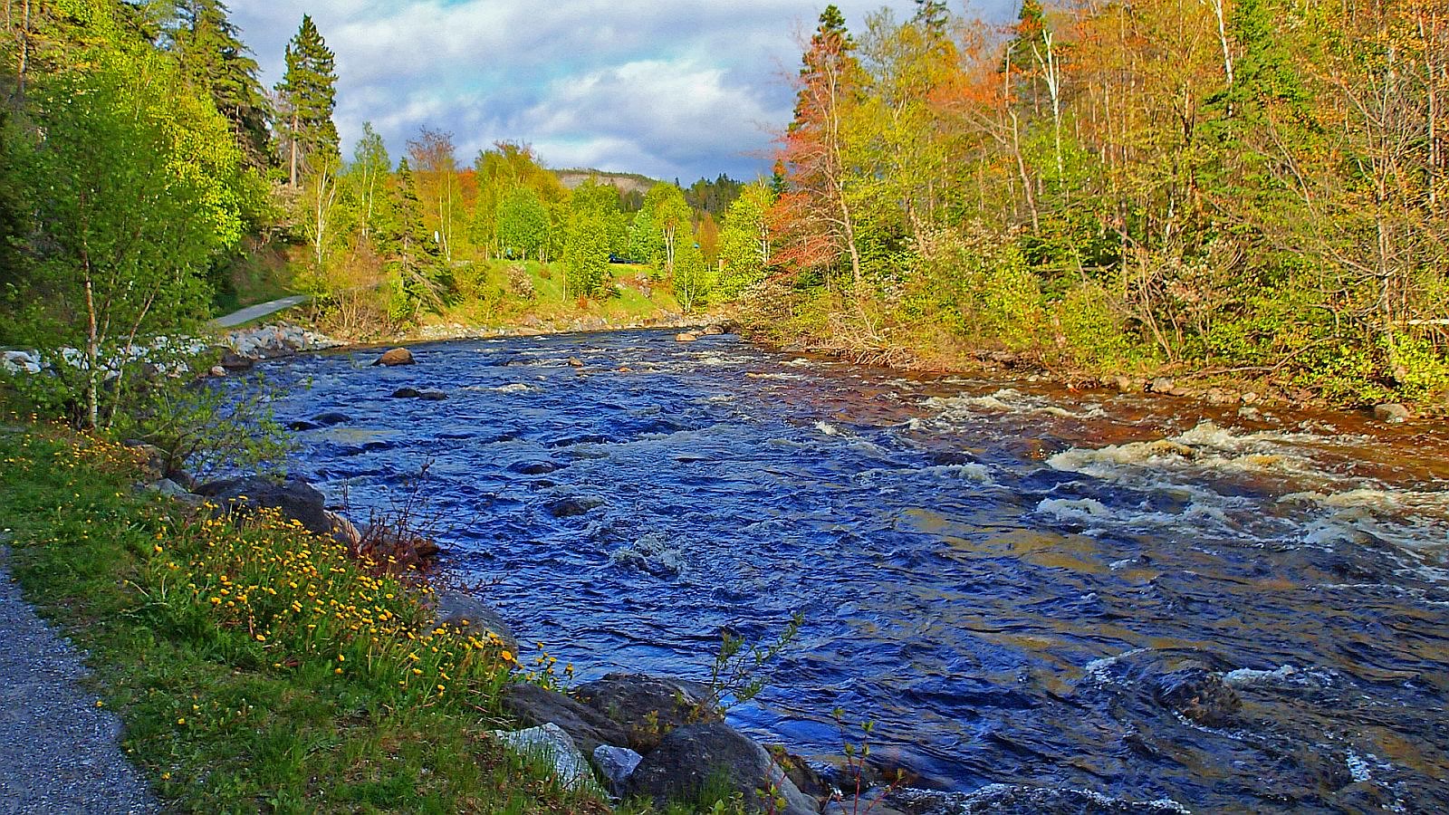 Corner Brook, NFL Flickr