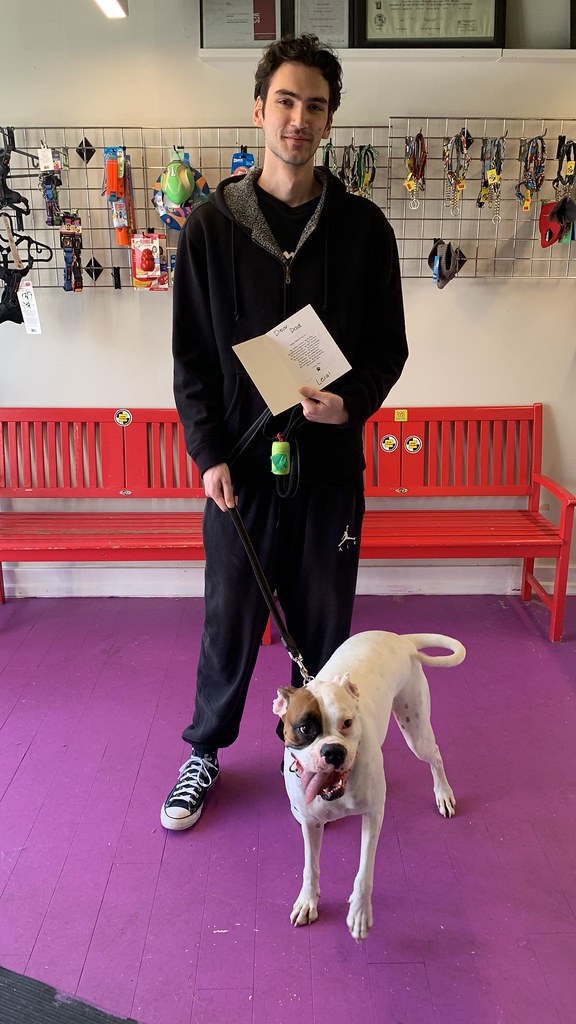 best doggy daycare in vancouver british columbia dog food … Flickr