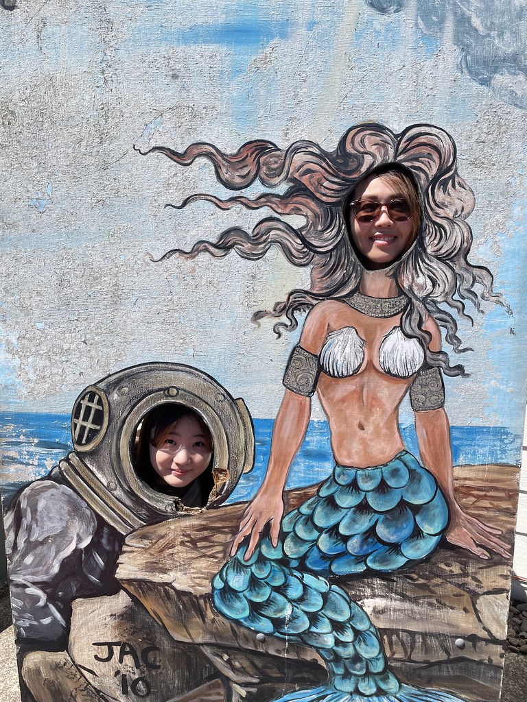 Untitled Peter Van Houten Flickr