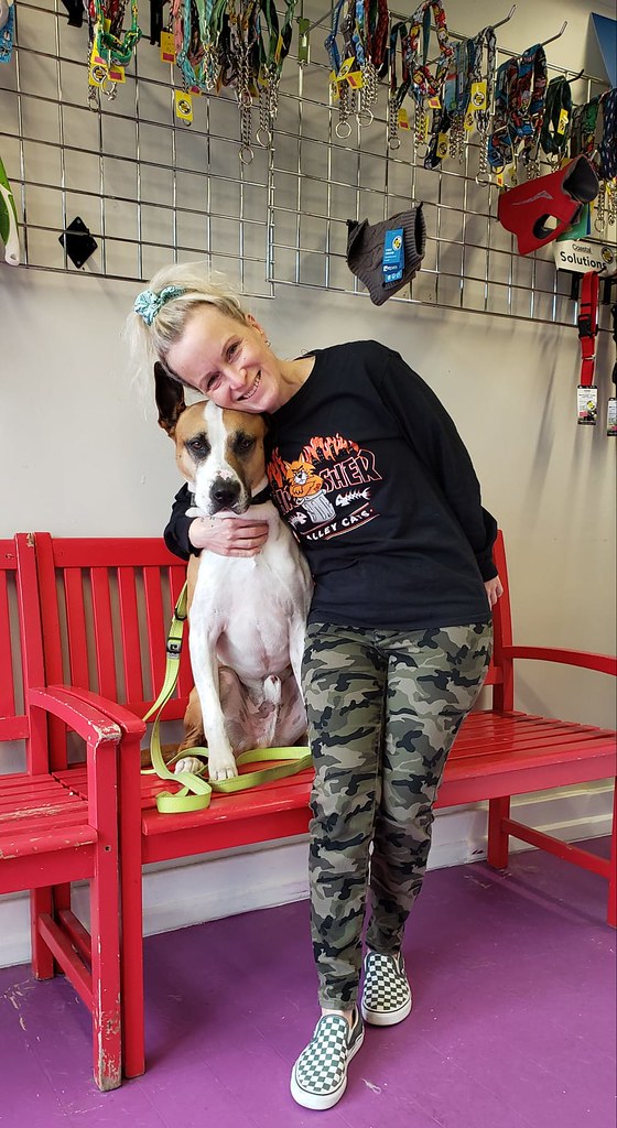 best doggy daycare in vancouver british columbia dog food … Flickr