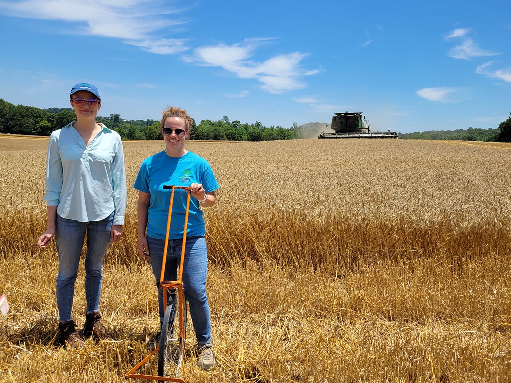 Mt. Pleasant, Stanly Co. Nikki Johnson Flickr