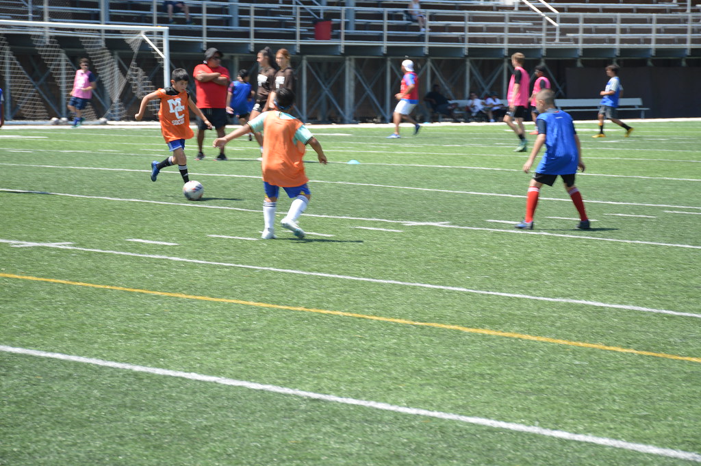 DSC_0063 Mount Carmel High School Flickr