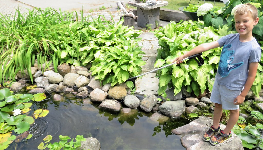 With help I installed a new bubbler system in the pond tod… Flickr