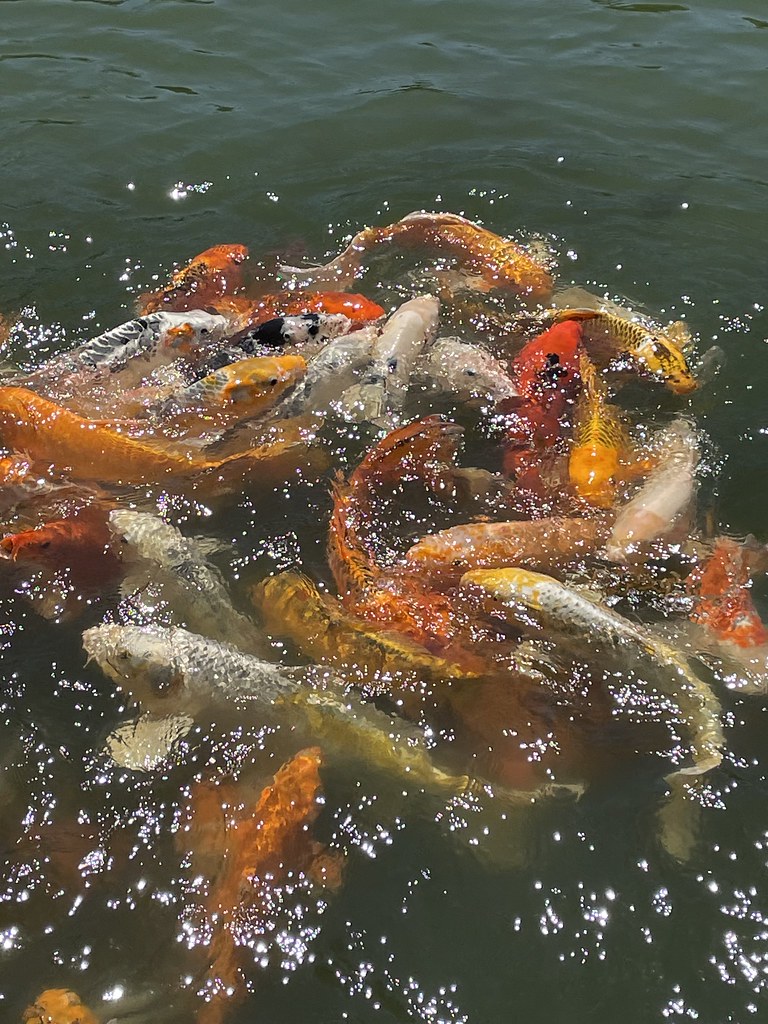 Schnormeier Gardens, Gambier, Ohio Kristine traveller, hiker and