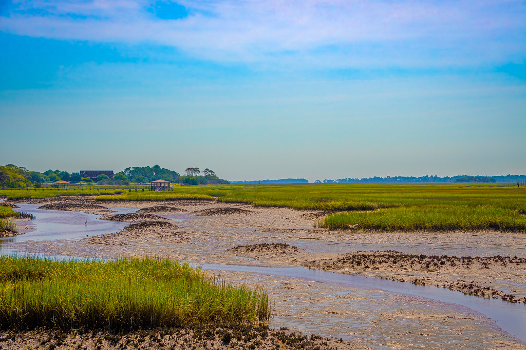 Oyster beds at Low tide. Kiawah River. June 2022 LisaDuBois Flickr