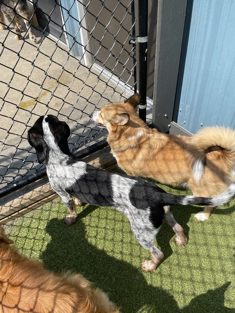 Untitled Greenlin Camp Hill Flickr