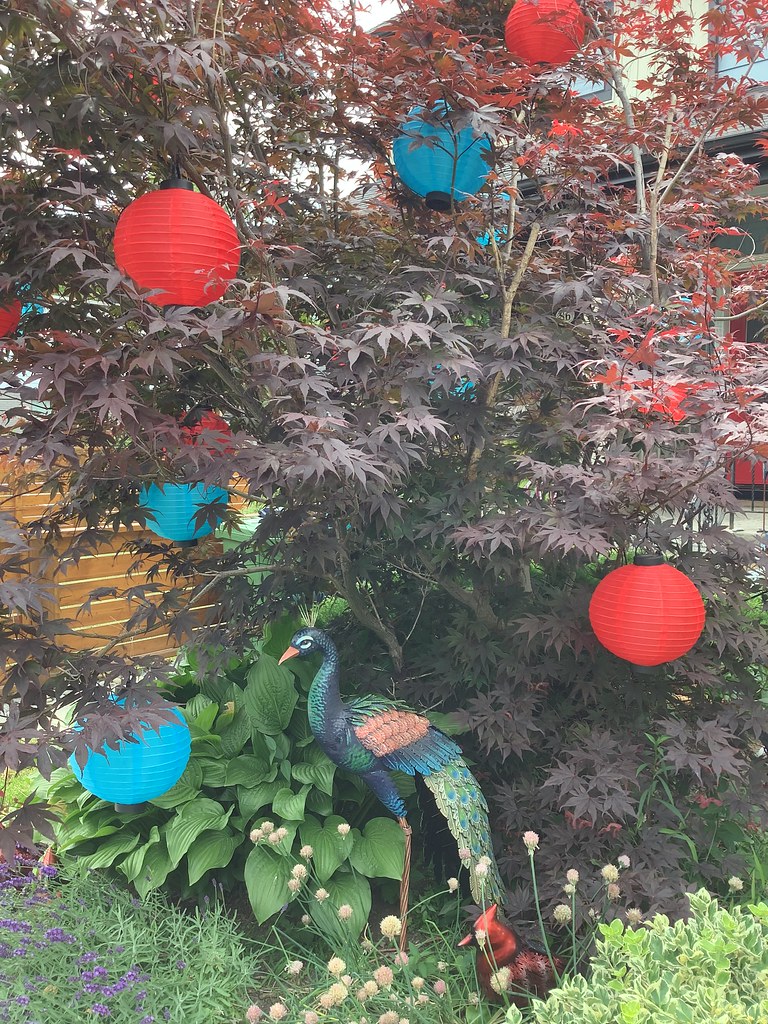 Canadian tire pool inflatable toys on bastedo ave abigail2007 Flickr