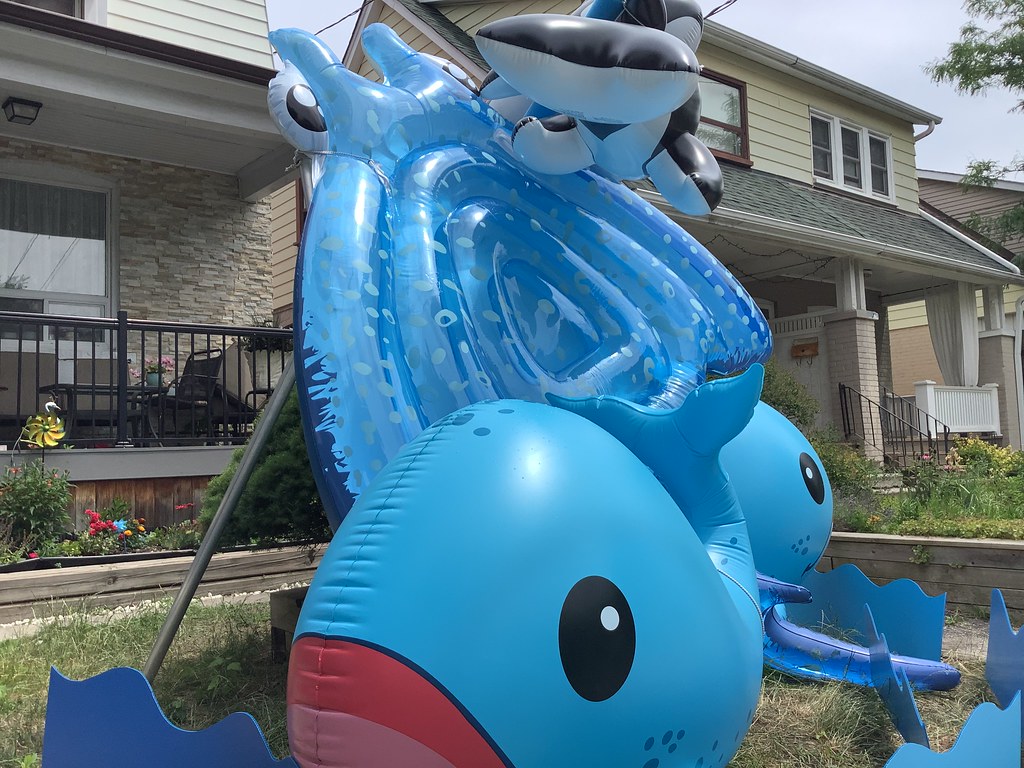 Canadian tire pool inflatable toys on bastedo ave abigail2007 Flickr