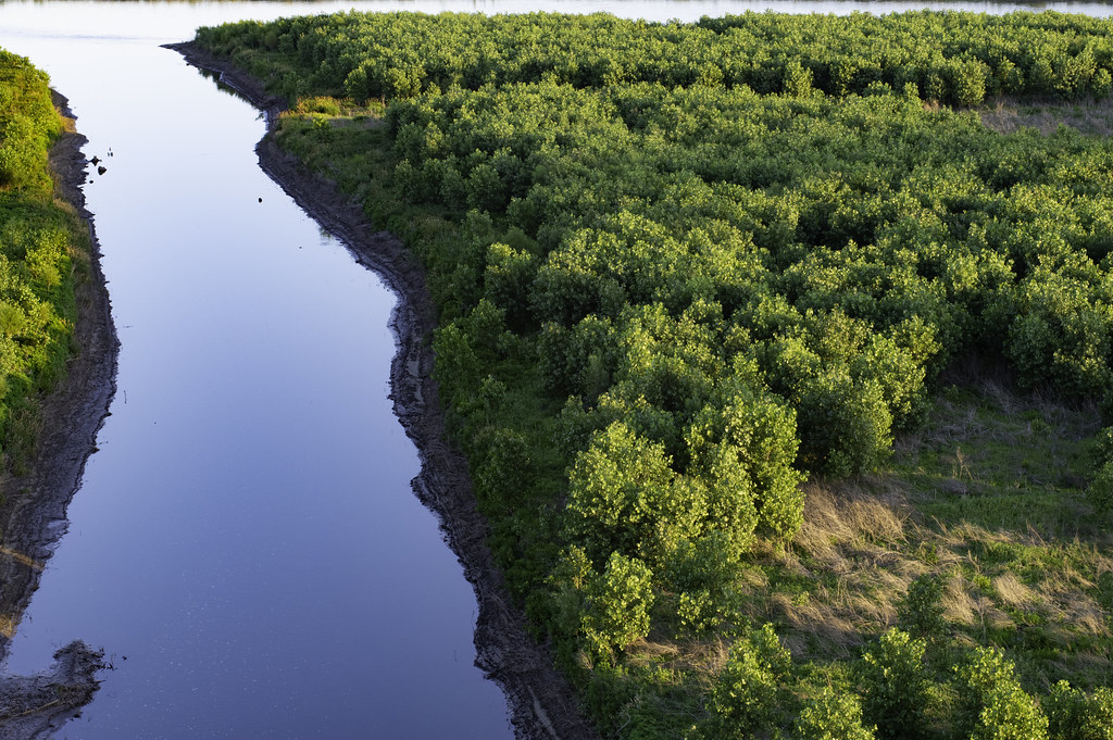 Des Moines River 1 Near Woodward, Iowa, USA. pollys belvin Flickr