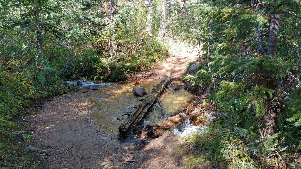 Box Creek, Segment 11, Colorado Trail, CO CO (Lake County)… Flickr