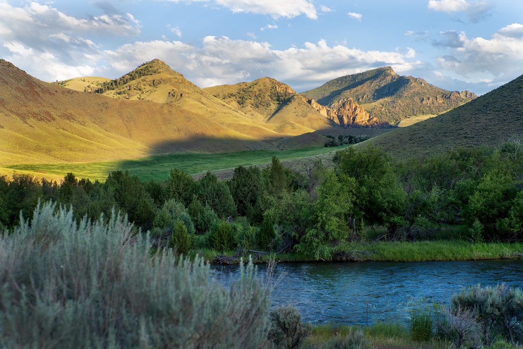 Royal on the Salmon River Elk Bend, Idaho Mac Tippins Flickr