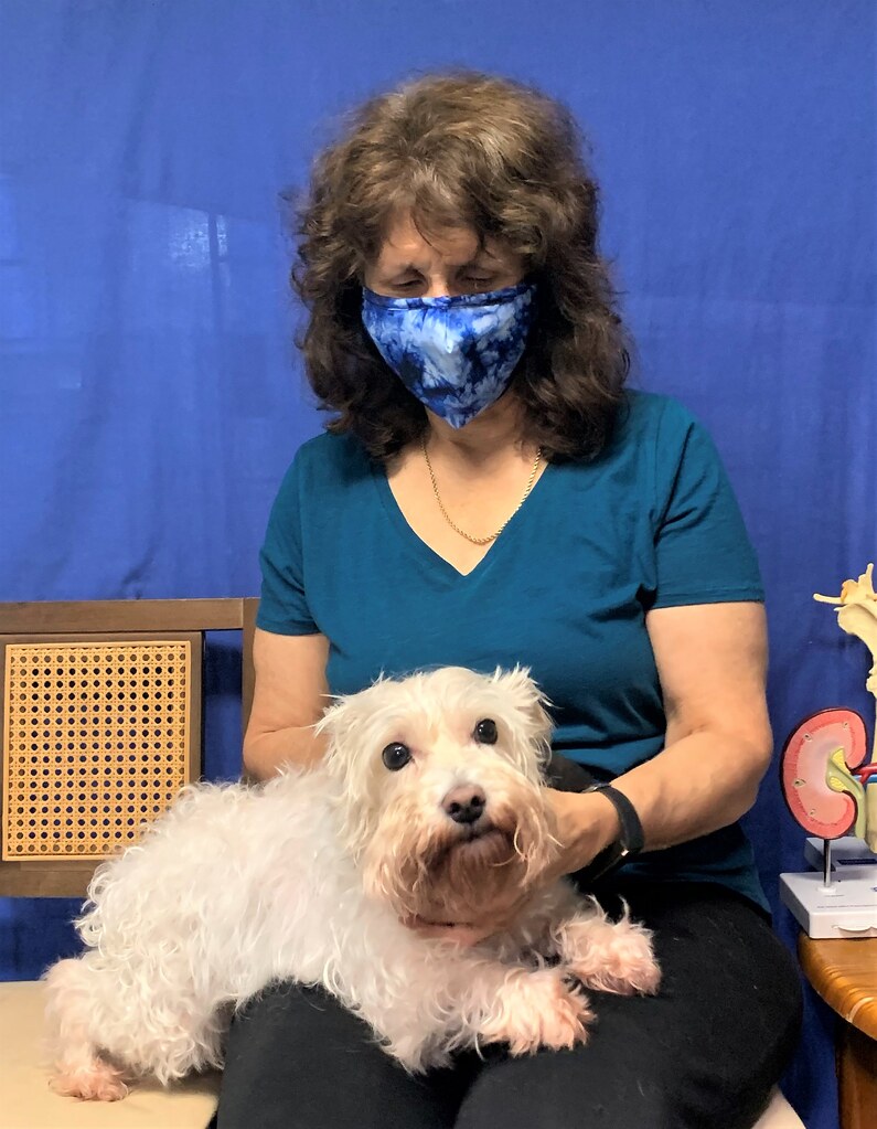 ArnoldMaggie Road Animal Clinic Flickr