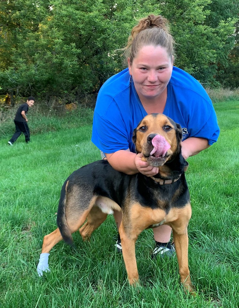 BrownTurbo Road Animal Clinic Flickr