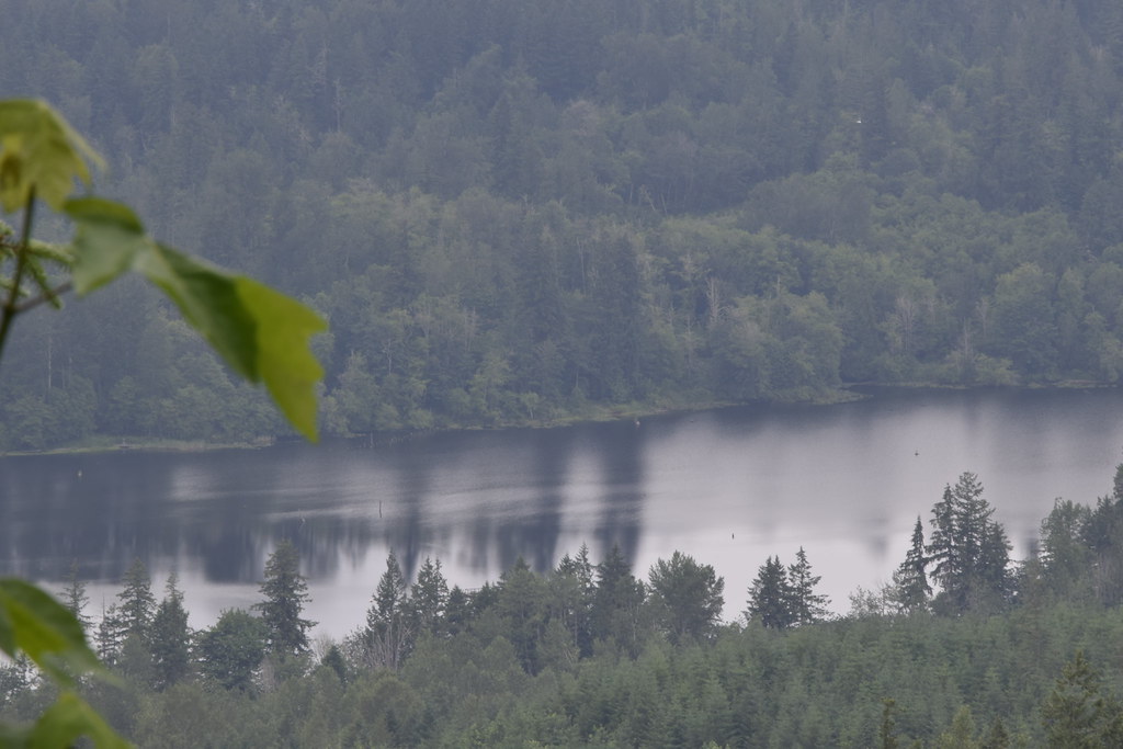 Lake Kapowsin Camp 1 in Graham, Washington. This image sho… Flickr