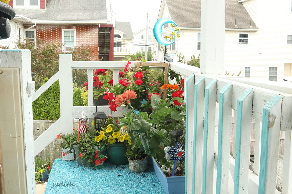 back porch garden When I first started planting up contain… Flickr