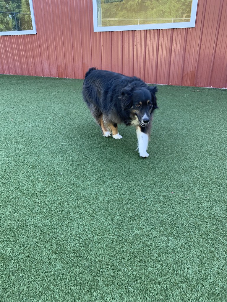 Untitled Greenlin West Flickr