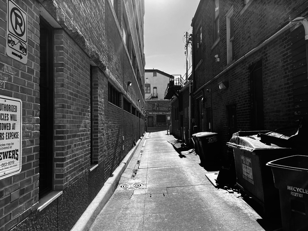 Alley, Maynard Street, Ann Arbor Dennis Sparks Flickr
