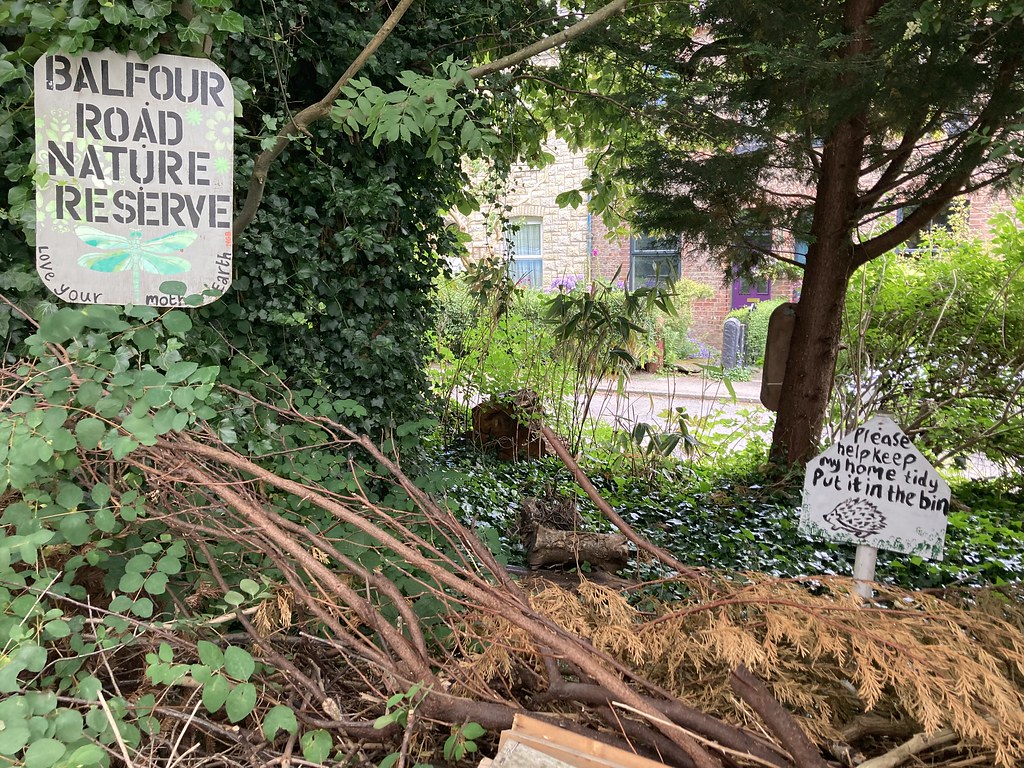 Balfour Road Nature Reserve, Balfour Road, Urmston Flickr