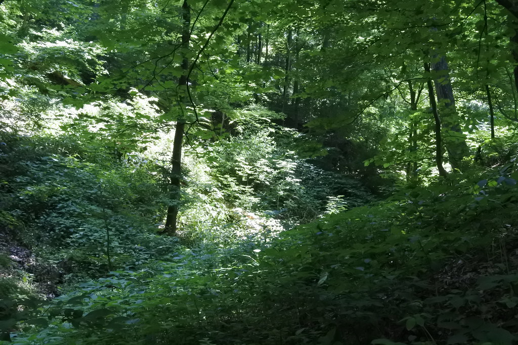 Vinegar Hollow Kilbuck Township, PA Joseph Wingenfeld Flickr