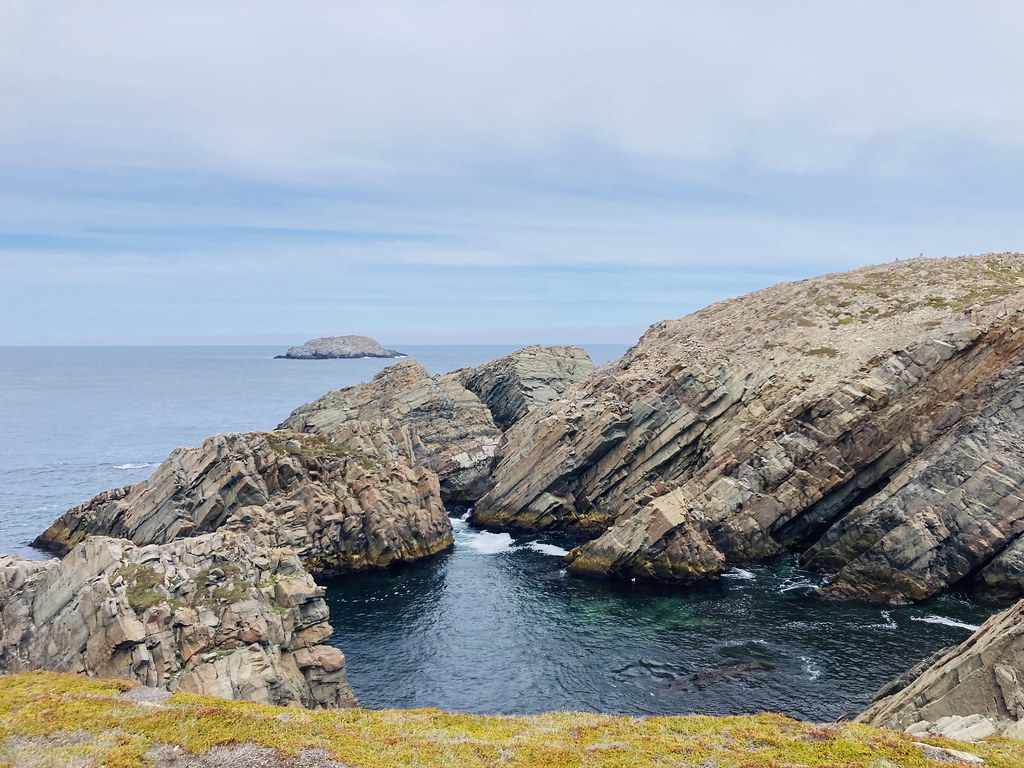Cape Bonavista Bonavista, NFLD Birdergirl Flickr