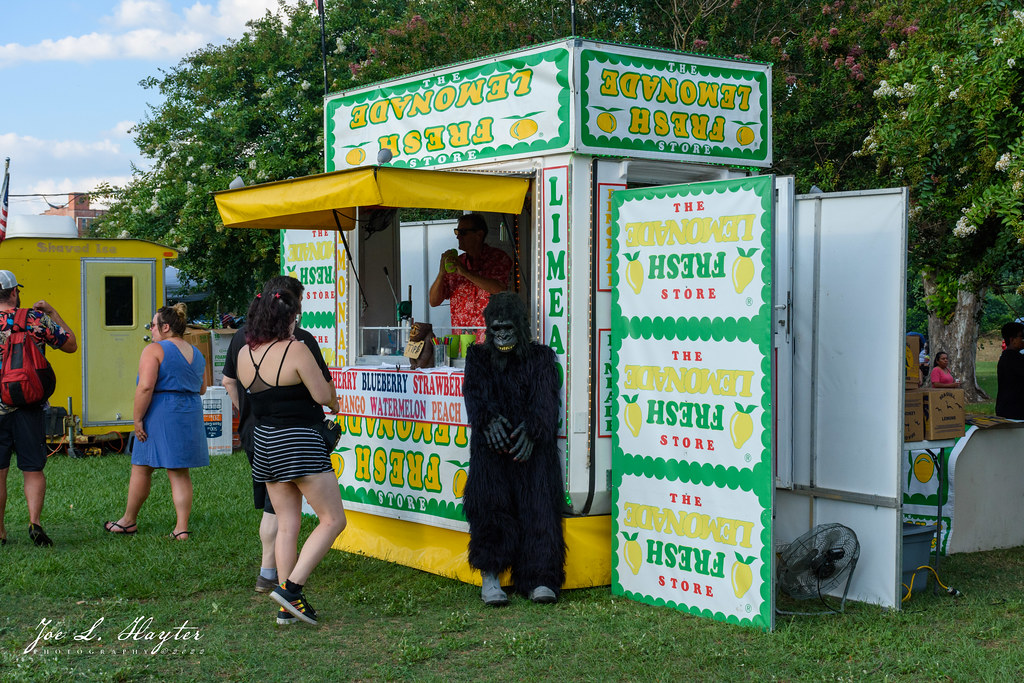 Freedom Festival People enjoying the Freedom Festival in N… Flickr