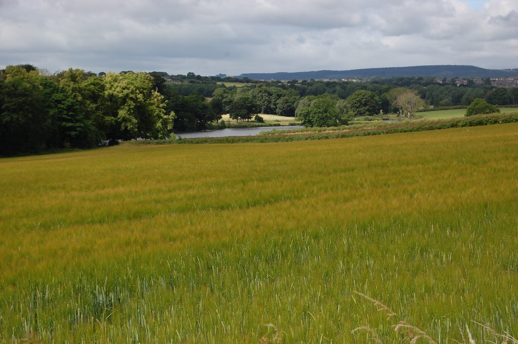 Morley pond Chris Brown Flickr