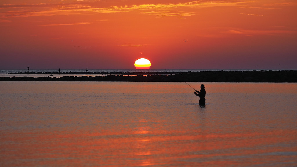 Pêcheur en baie d'Authie et vol de cormorans Vincent Flickr