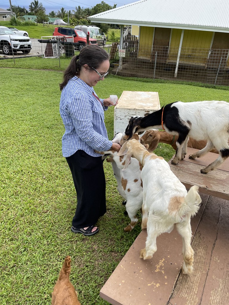 Feeding Baby Goats Honomu Goat Dairy. Kim marianme Flickr