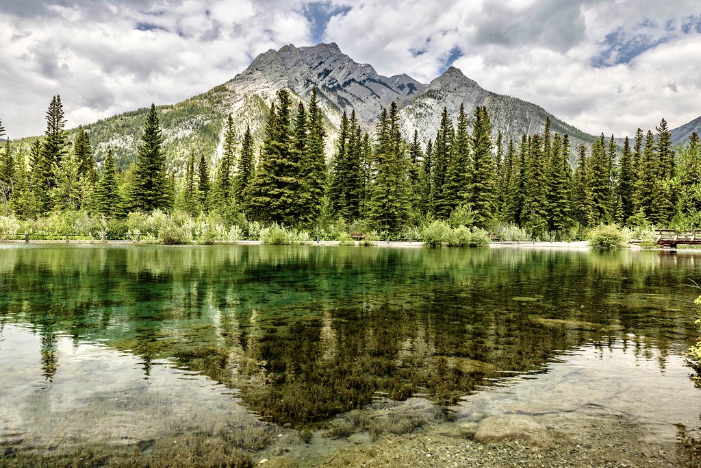 Don’t count the moments, make the moments count Shelly Lynn Hachey O