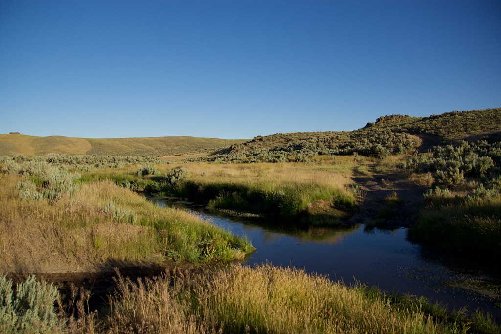 Little Humboldt River, Owyhee Desert NV, July, 2022 Ned Bohman Flickr