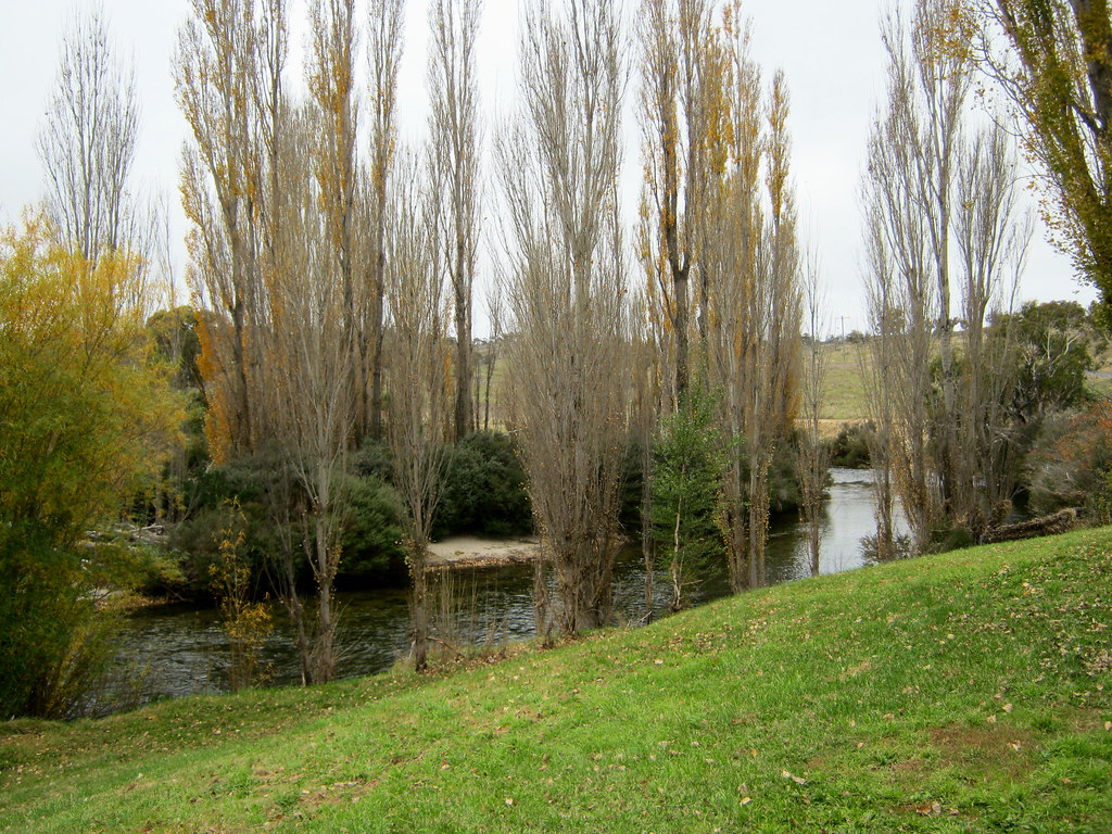 Thredbo River near Gaden Trout Hatchery, NSW Thredbo River… Flickr