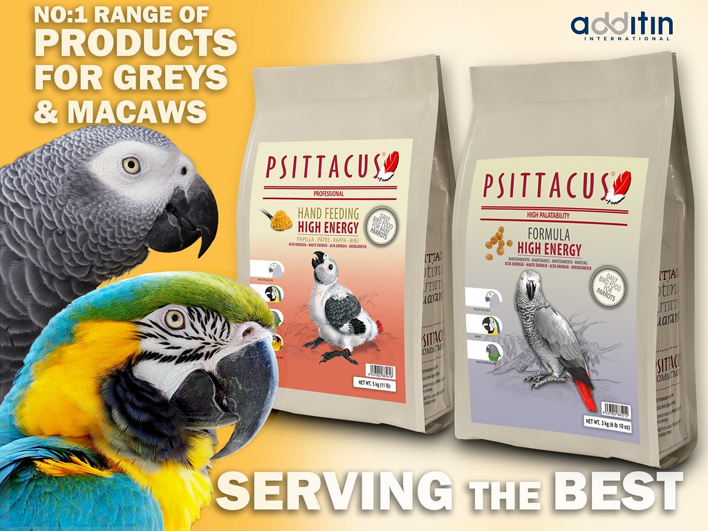 best pet food wholesale dealers in India Additin International Flickr