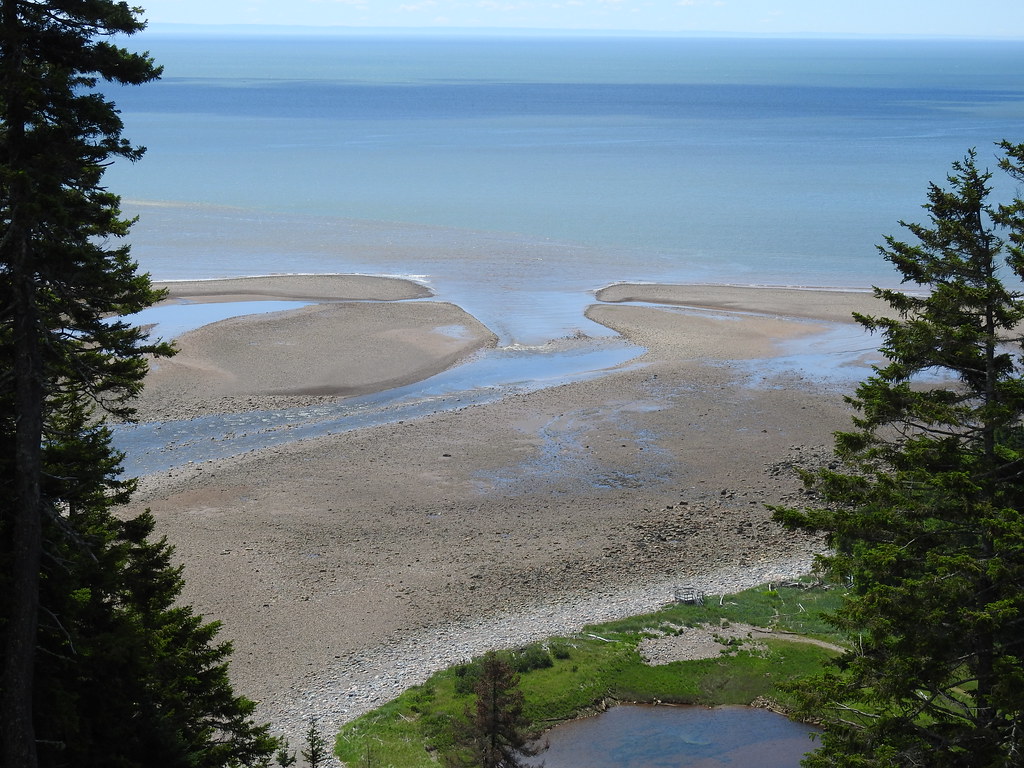 Big Salmon River mouth at low tide Big Salmon River mouth … Flickr