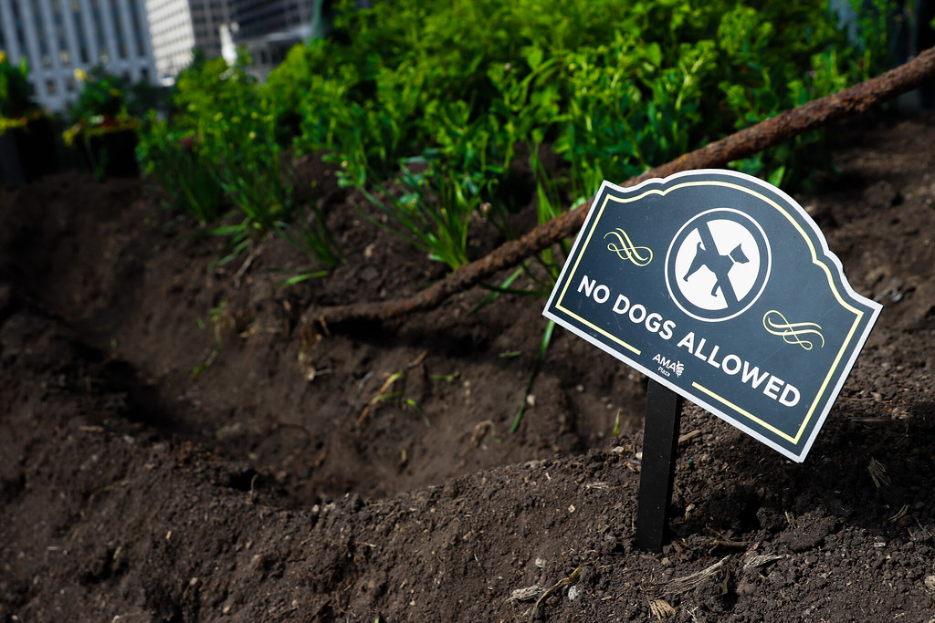 Huffman_Street Photography Camden Huffman Flickr