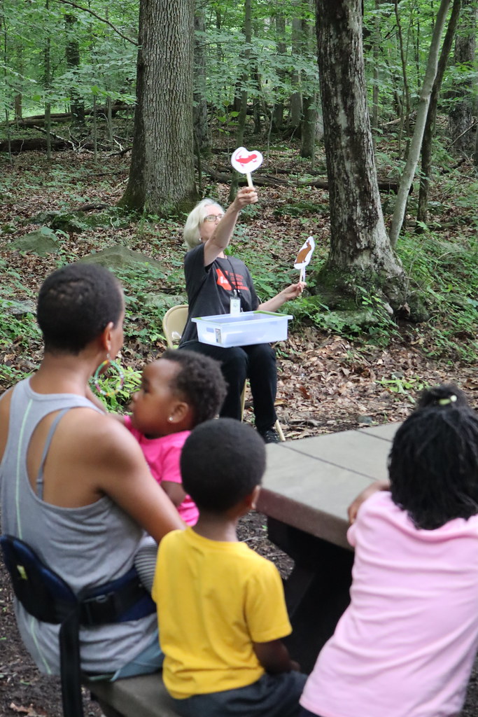 IMG_7290 Frederick County Public Libraries Flickr