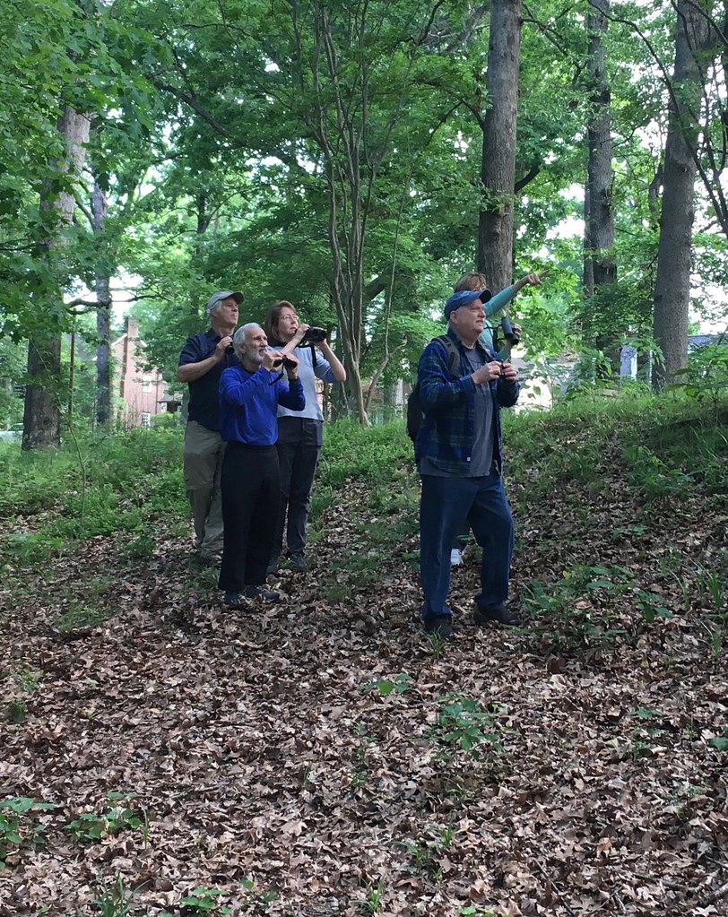 Latta Park 0519 Mecklenburg Audubon Flickr