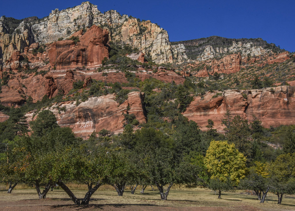 ...state park in Sedona; had been a private farm and orcha… Flickr