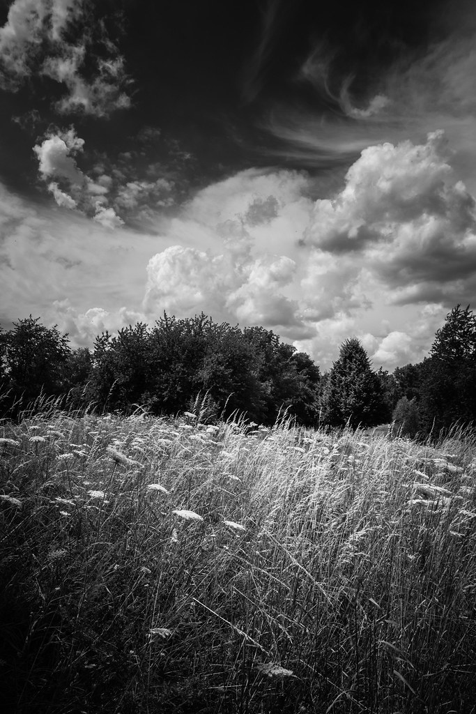 Cloudscape II Gotan Da Flickr
