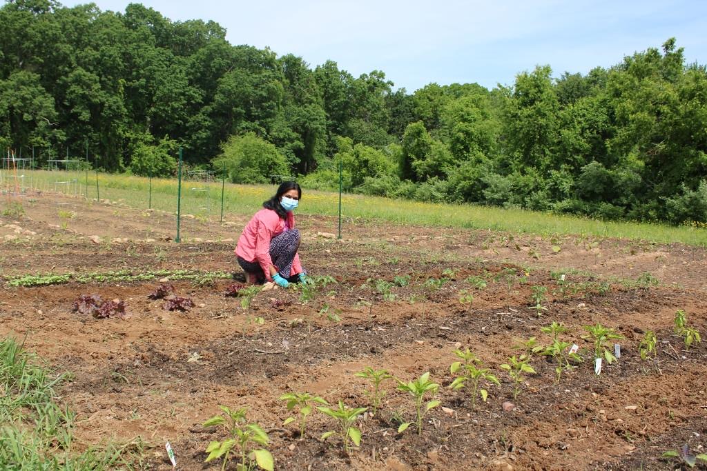 Photo Resized South Windsor Parks and Recreation Flickr