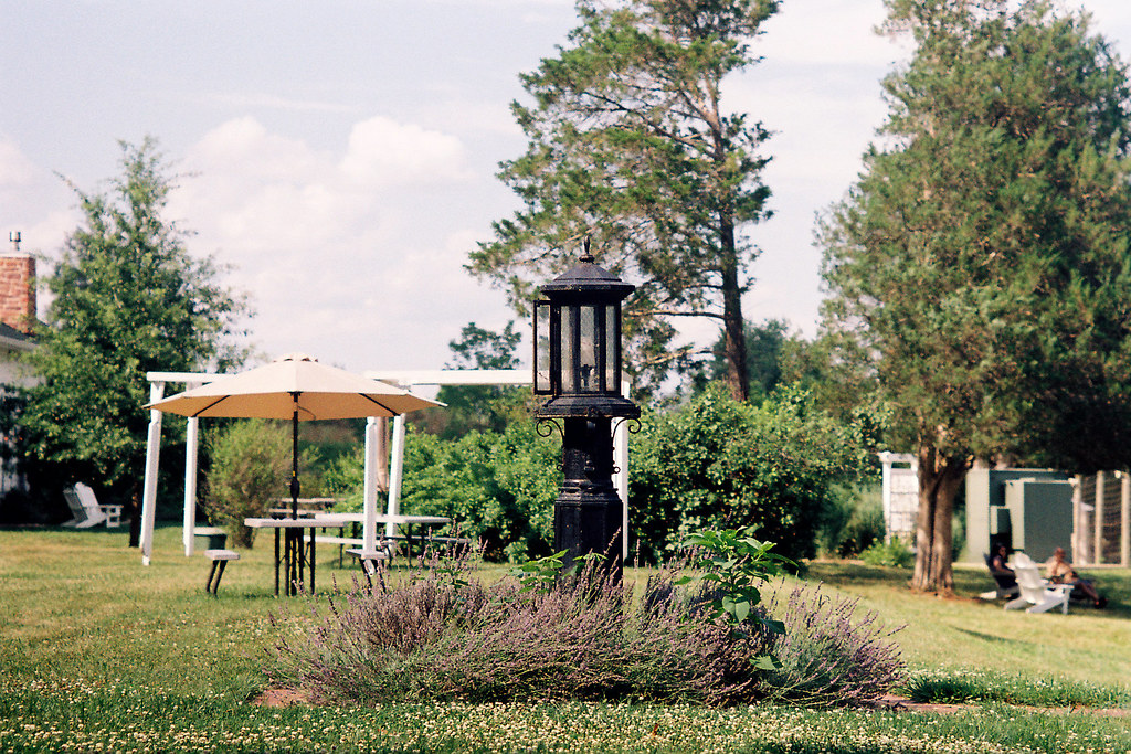 Effingham Winery, Virginia Pentax Spotmatic SuperMultiCo… Flickr