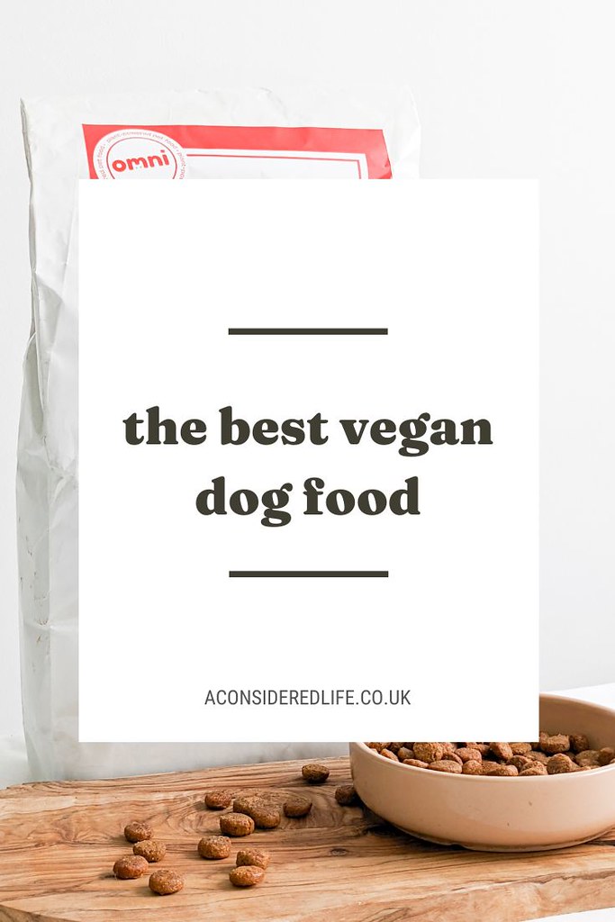 The Best Sustainable Vegan Dog Food Brands — A Considered Life
