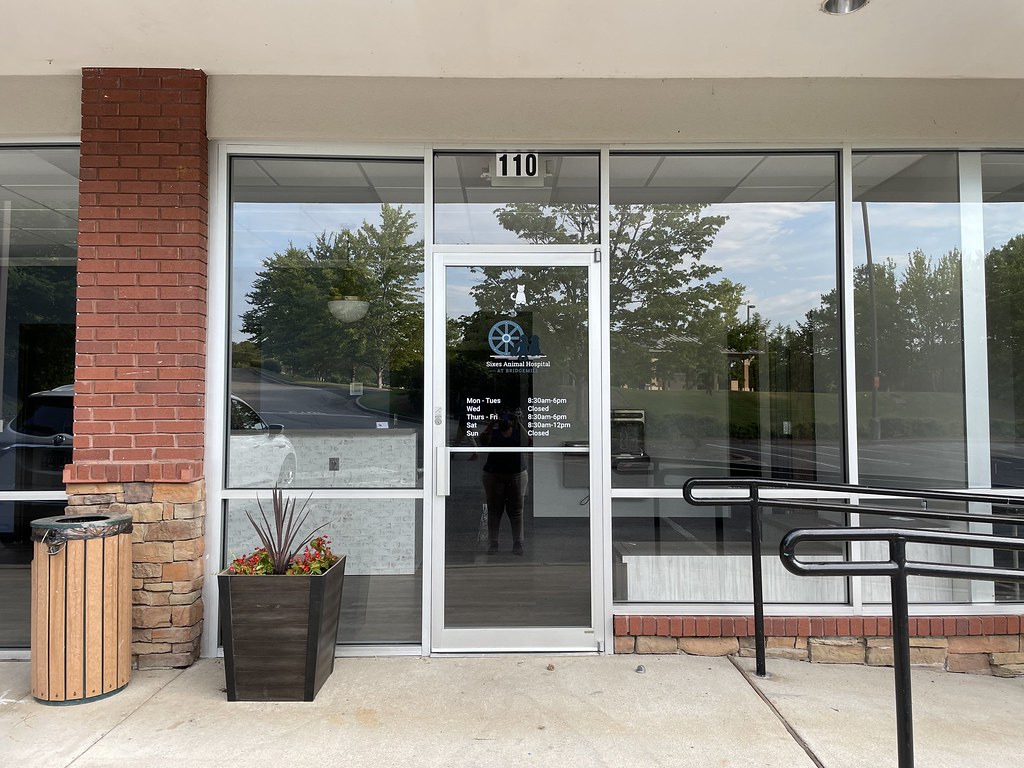 Kelley ProjectSixes Animal Hospital After Photos LaShonta Bailey