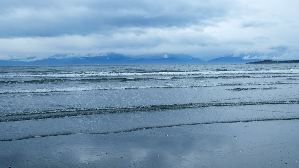 Witty’s Lagoon Regional Park, A Delightful Surprise Near Victoria In